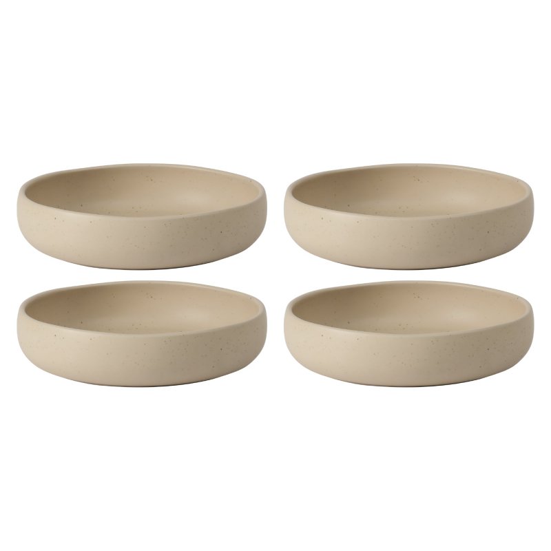 Clay 4 Piece Meal, Dinner, Pasta Bowl Set