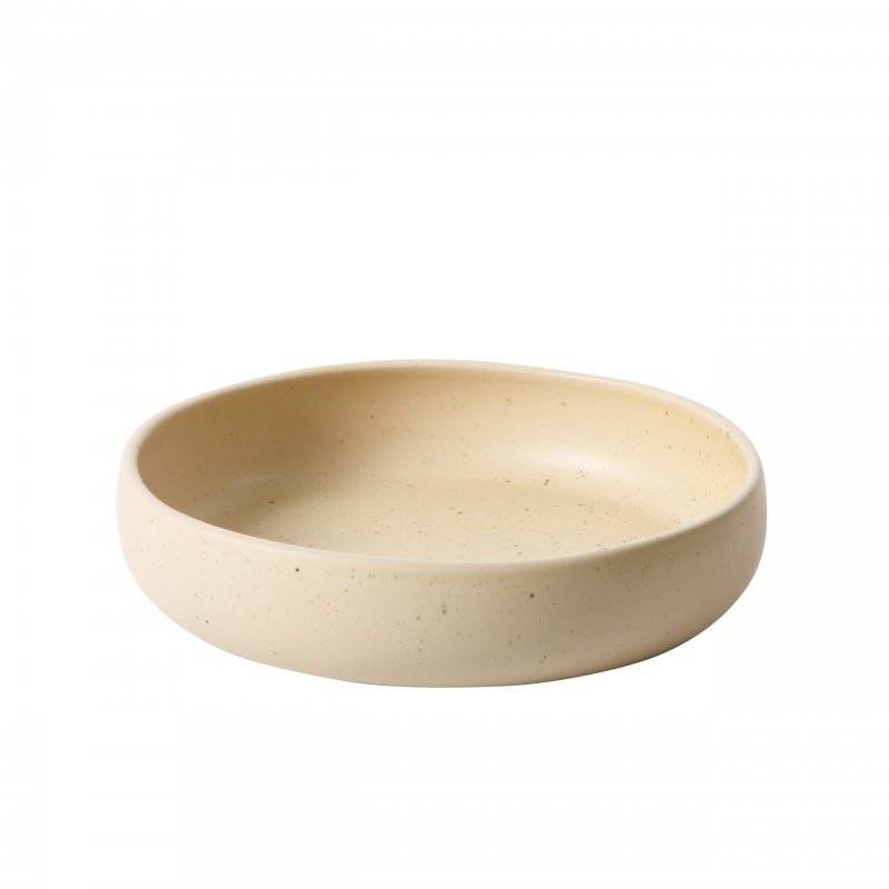 Clay 4 Piece Meal, Dinner, Pasta Bowl Set